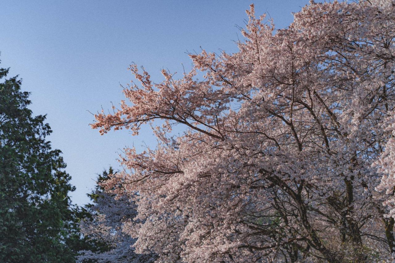 Kominkayado Loof Sakanoie Fuefuki Exteriör bild