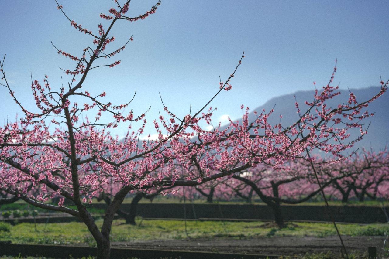 Kominkayado Loof Sakanoie Fuefuki Exteriör bild